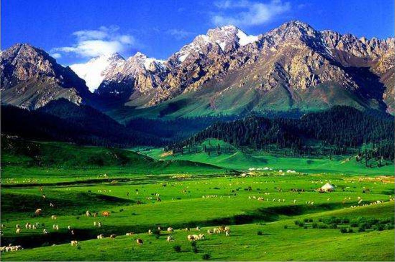 新疆沙湾美食合集,新疆沙湾特色美食推荐