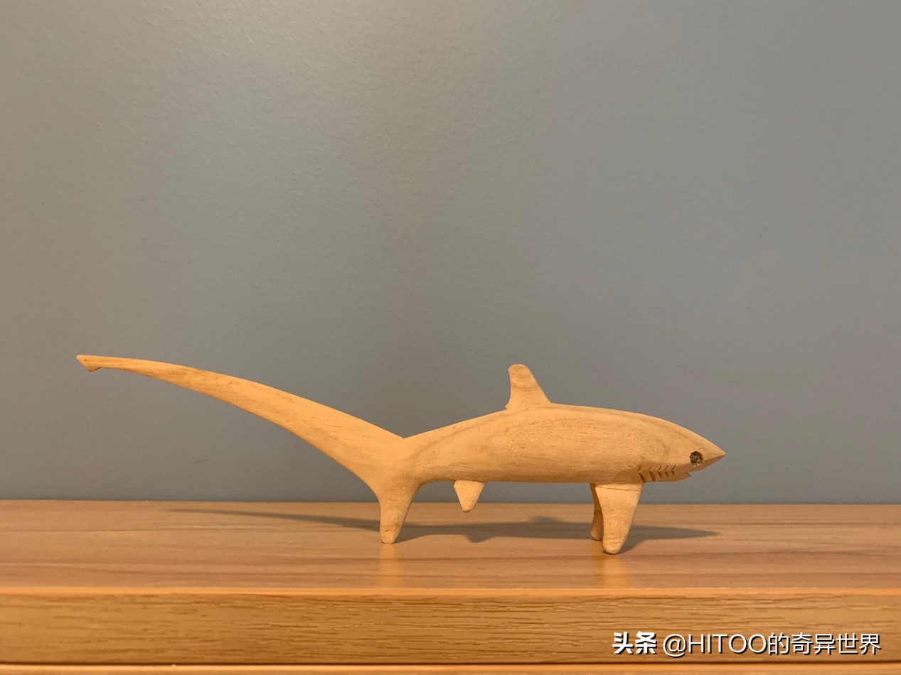 新手去菲律宾买什么比较好,在菲律宾买地靠谱吗