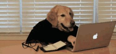 女性怎么避免感染上hpv,女人感染hpv三大忌