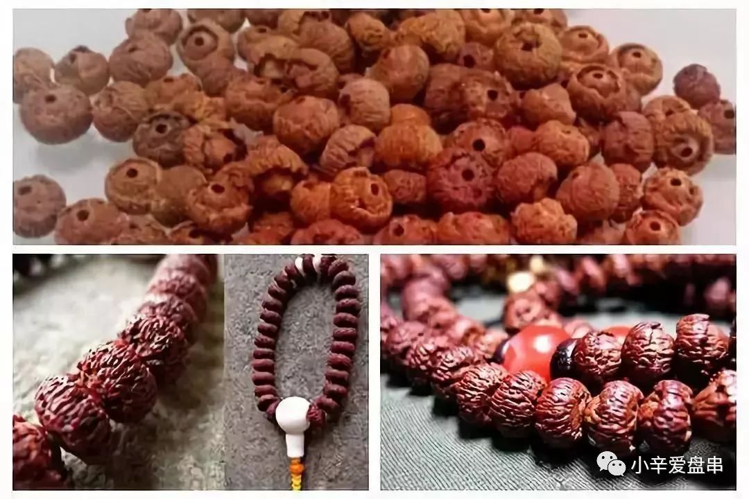 莲花和滴血莲花的区别,滴血莲花和莲花菩提区别