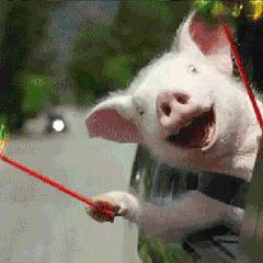 mac飘起来是真的假的,mac口红良心推荐