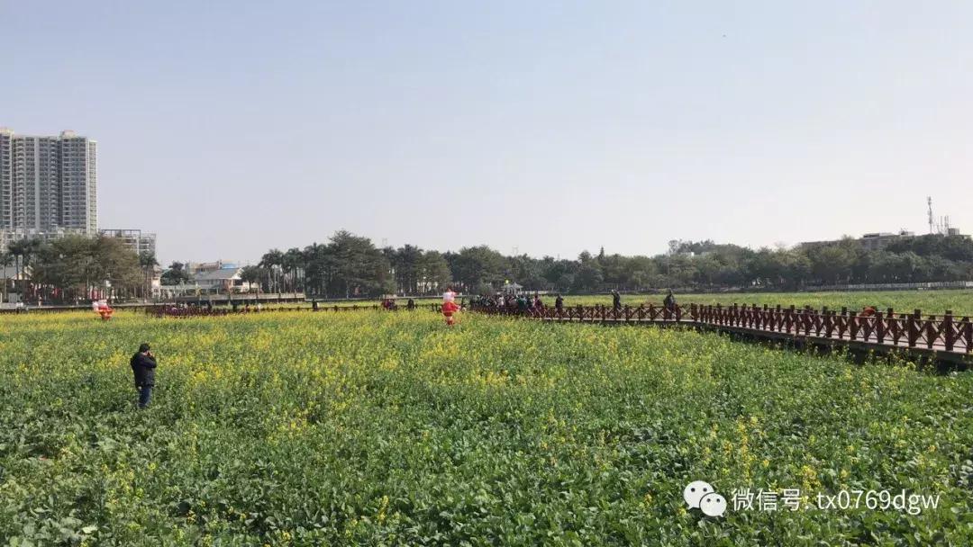 郑州春节周边景区免费景点大全,春节赏花的好去处