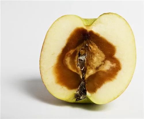 产后没做修复漏尿怎么修复,产后漏尿科普