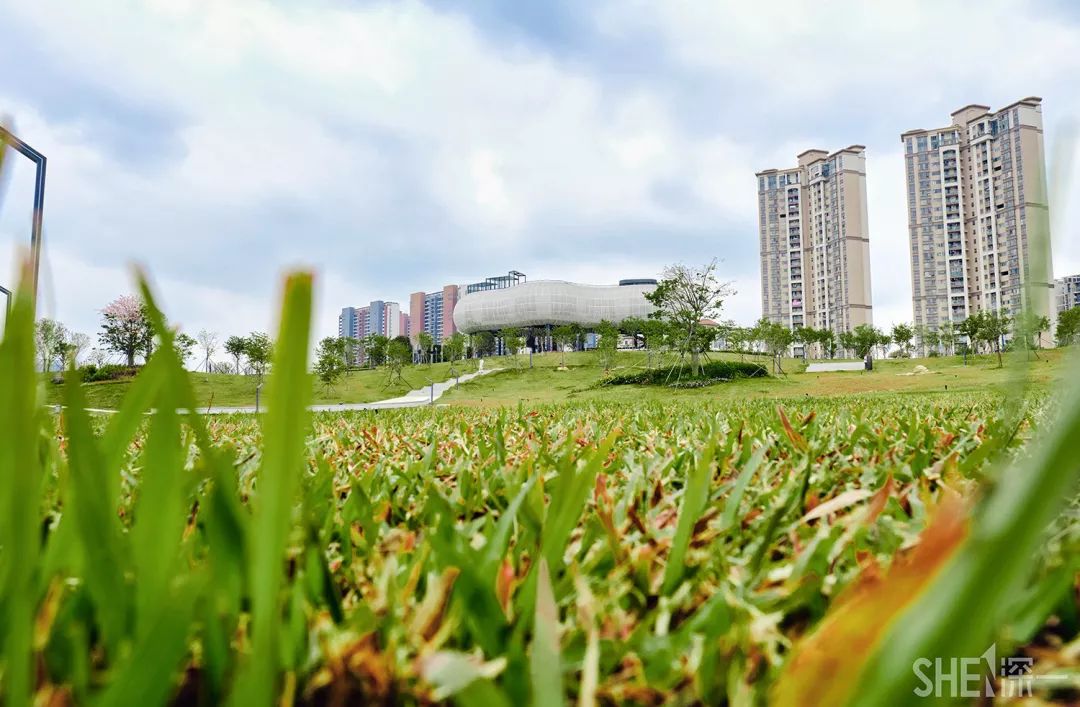 深圳网红公园地铁站,深圳地铁最近有什么公园