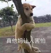 2019崇光店庆,崇光百货下半年店庆是什么时候