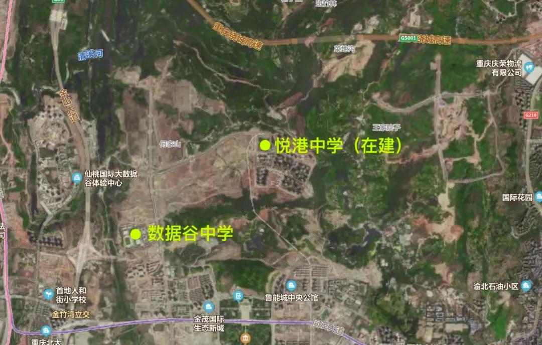 合肥中央公园最新方案布局,中央公园新规划学校