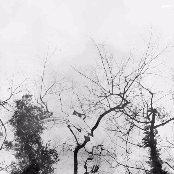 什么是美学中的自然美,什么是美是一种状态