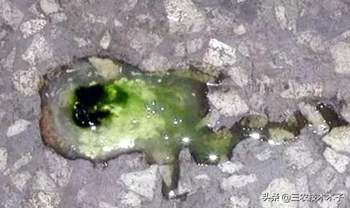 鸡拉黄痢最快急救方法,养鸡拉白痢的治法