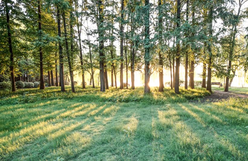 西安公园24小时开放,西安免费儿童玩的公园