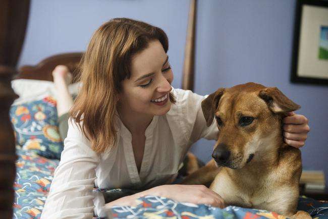 新加坡学生福利大盘点,新加坡学生上学福利