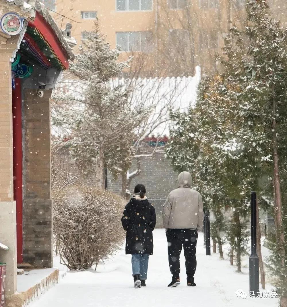 冬已至春来到,冬天来通辽去哪玩