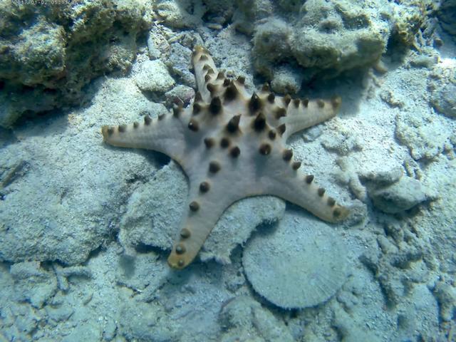 马来西亚初印象,马来西亚沙巴的回忆