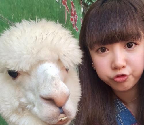 巴西足球太太团大比拼,国足太太团颜值大比拼合照