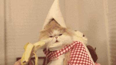 初雪终于来了原版,初雪终于在新年到来前