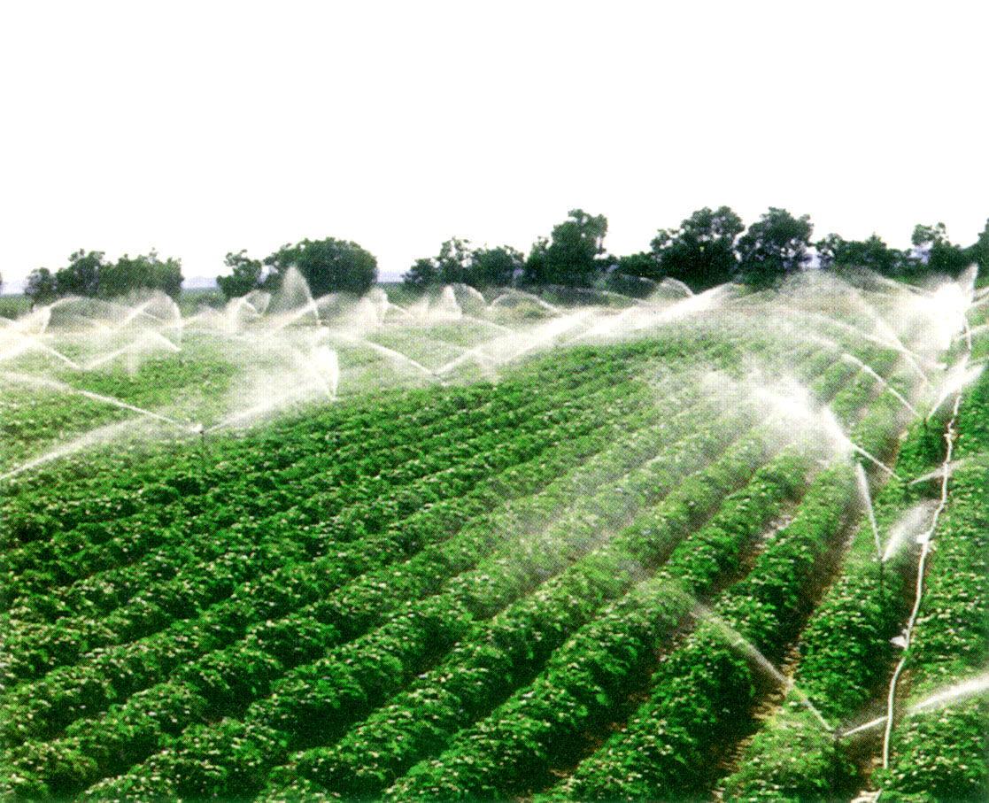 常用杀菌剂及其作用原理汇总资料,园林绿化常用杀虫剂及杀菌剂介绍