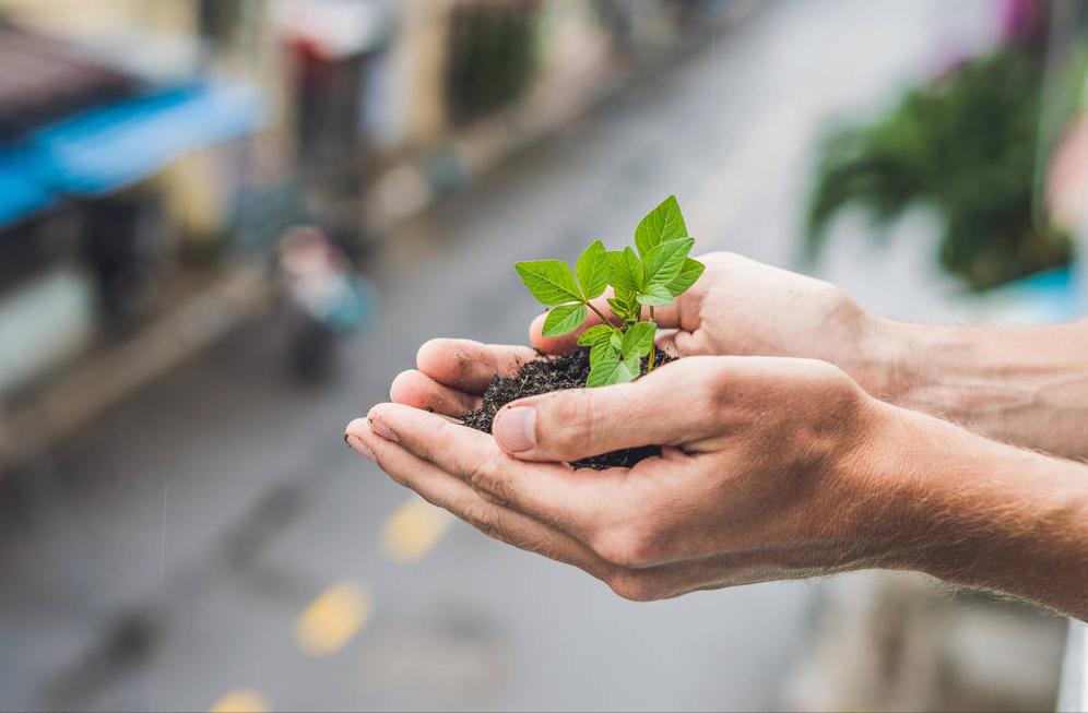 联合国少女打脸瞬间,被联合国力捧的16岁少女