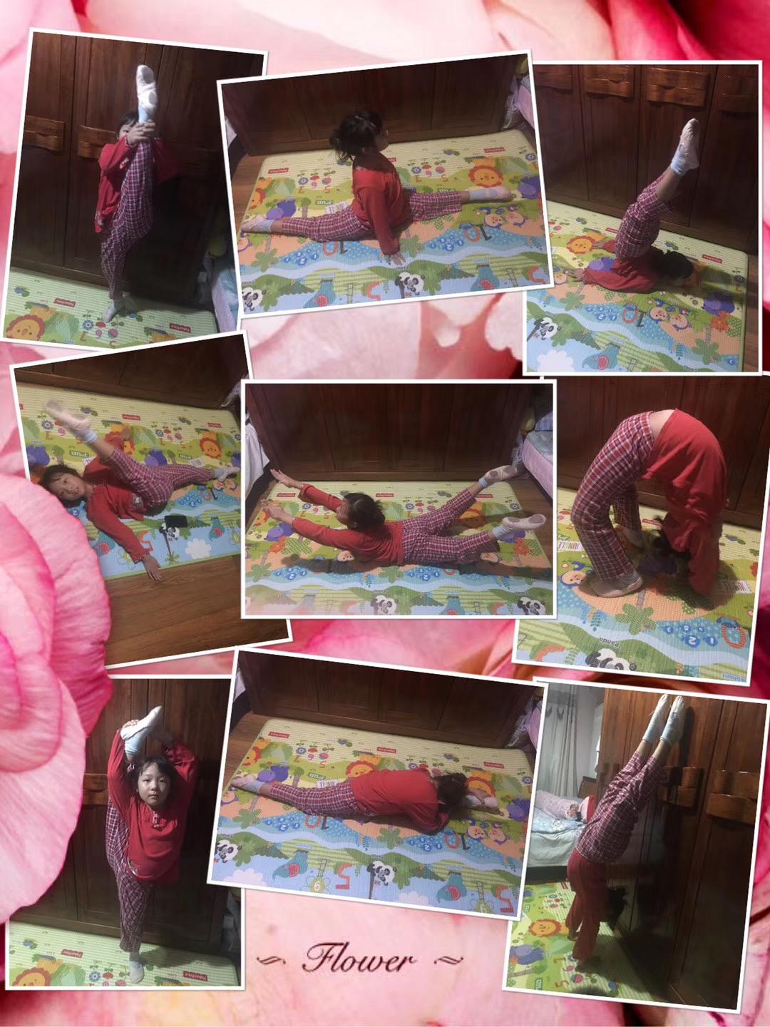 北京市芳城园小学：“项目式学习”战“疫”“延学”变“研学”