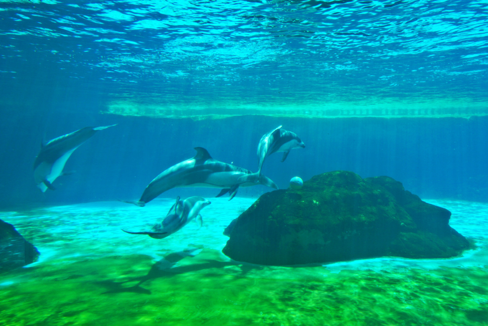 常州恐龙园和珠海长隆哪个好玩,珠海长隆海洋王国好玩吗