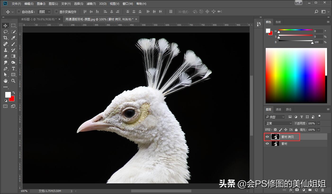 ps怎么用通道抠图大树,ps通道混合器抠图教程