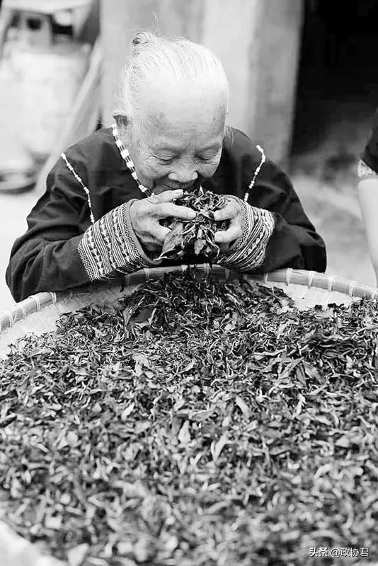 海南白沙,海南白沙有什么