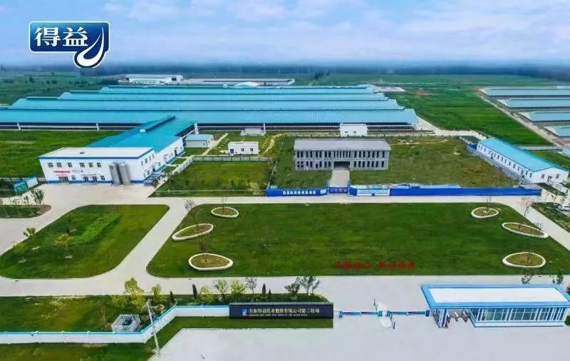 山东奶厂现状怎么样,乳企盈利牧场亏损