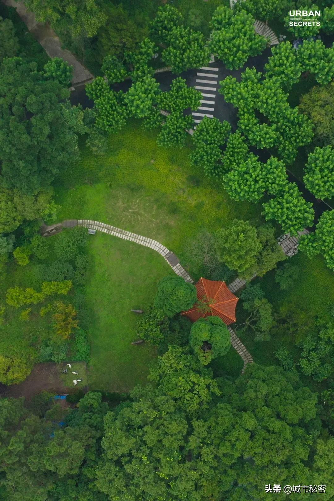 杭州文教区如果不写杭师大，那和一条失去梦想的咸鱼有啥区别