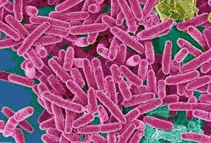 德国加厚316不锈钢304菜板,正宗304不锈钢菜板两面全不锈钢的