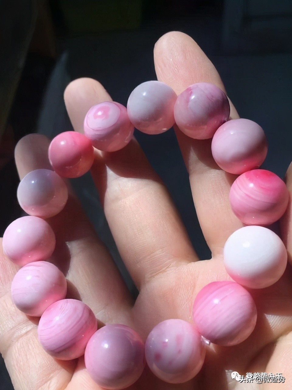 少女的最爱，少女心爆棚的美物，悄然兴起的女王贝（胭脂贝）