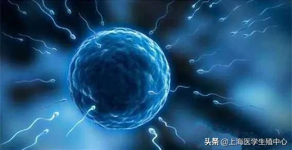 导致无精症的原因有哪些,无精症属于什么