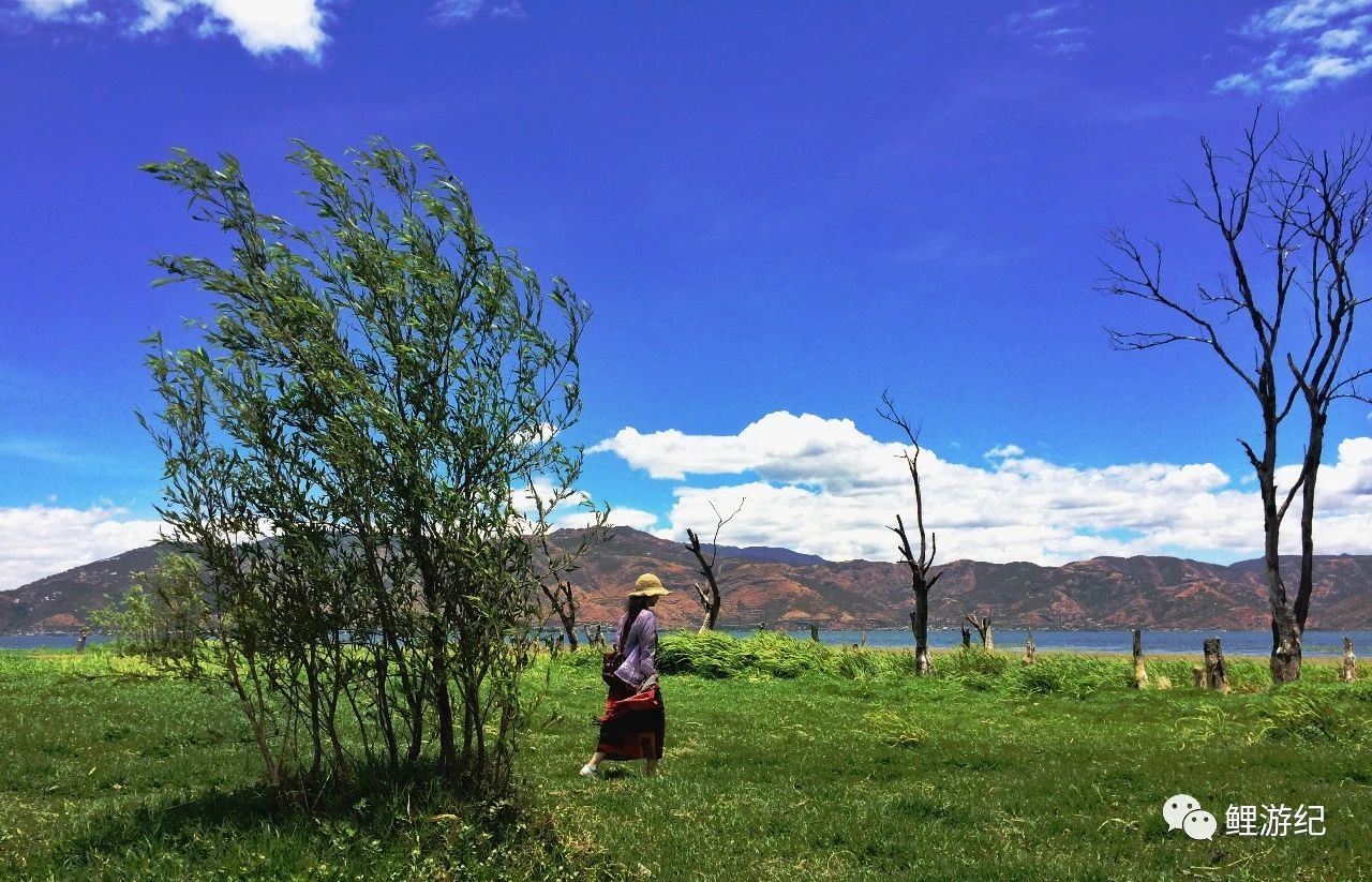 环海公路好看的图片,西南风景图片横图