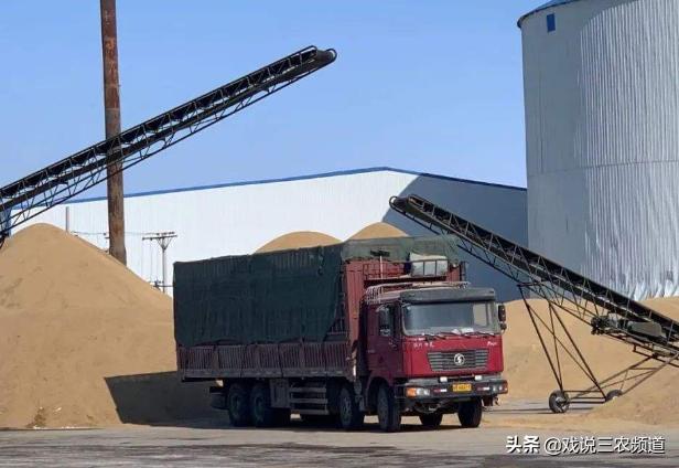 粮价暴涨的后果,粮价大跌物价大涨农民还能种地吗