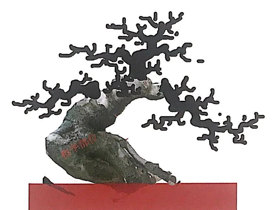 小榆树盆景设计100种形态,榆树盆景用的榆树是什么品种