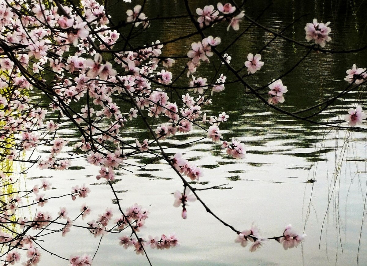 宝宝晚上不睡觉一直哭闹怎么处理,宝宝不睡觉一直哭闹有什么办法