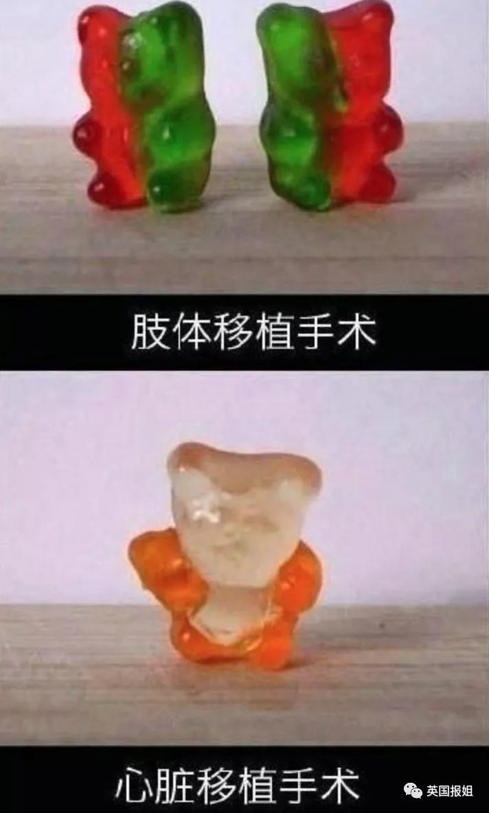 宅家无聊自娱自乐想跳就跳就好,宅家无聊自娱自乐开心一刻