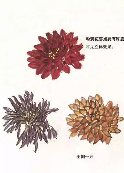 菊花国画入门简单教程,国画菊花画法技法教程