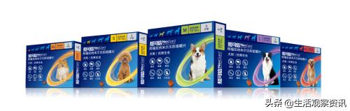 狗狗大宠爱内外一体驱虫药靠谱吗,爱沃克驱虫药好还是大宠爱好