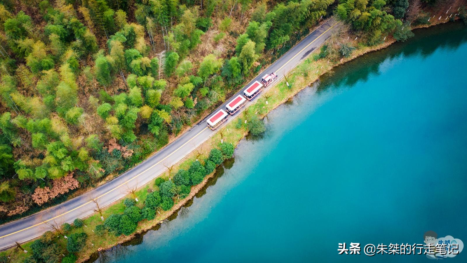 最美竹海在哪里,中国最美竹海风景区