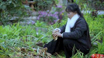 她凭“中华之美”圈粉海外，却被国内网民骂成筛子