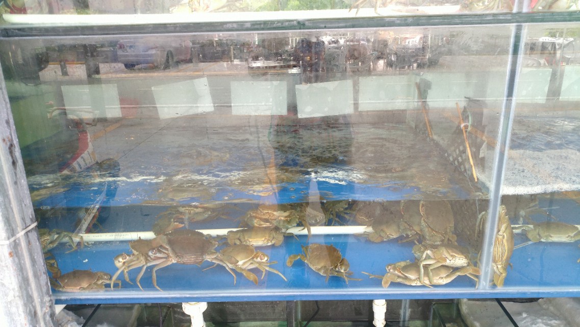 中山崖口美食推荐,崖口村煲仔饭云吞团购