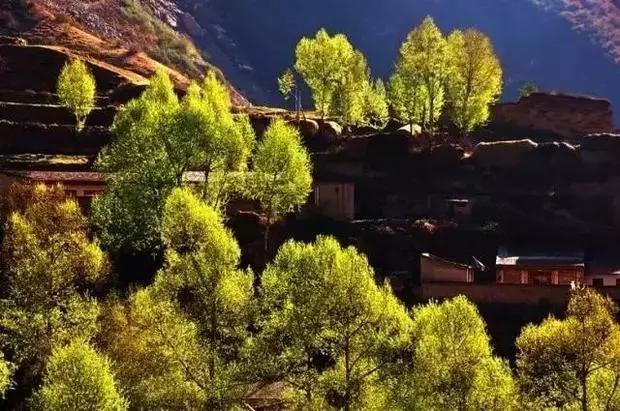 兰州市玻璃栈道,兰州玻璃栈道最长多少米