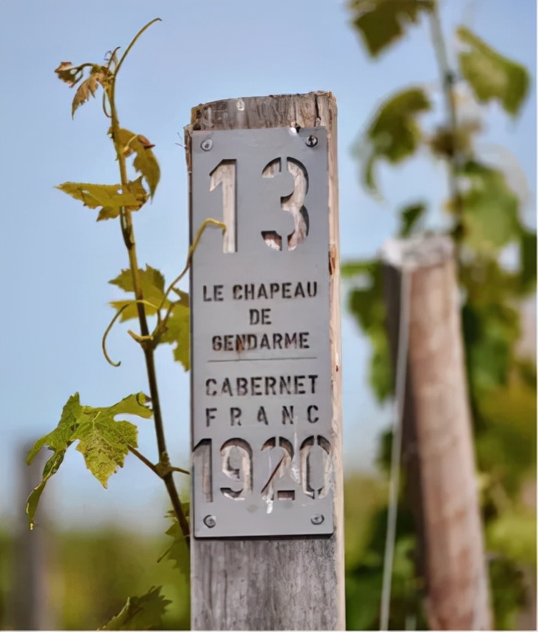 波尔多右岸名庄2005,波尔多右岸顶级名庄白马