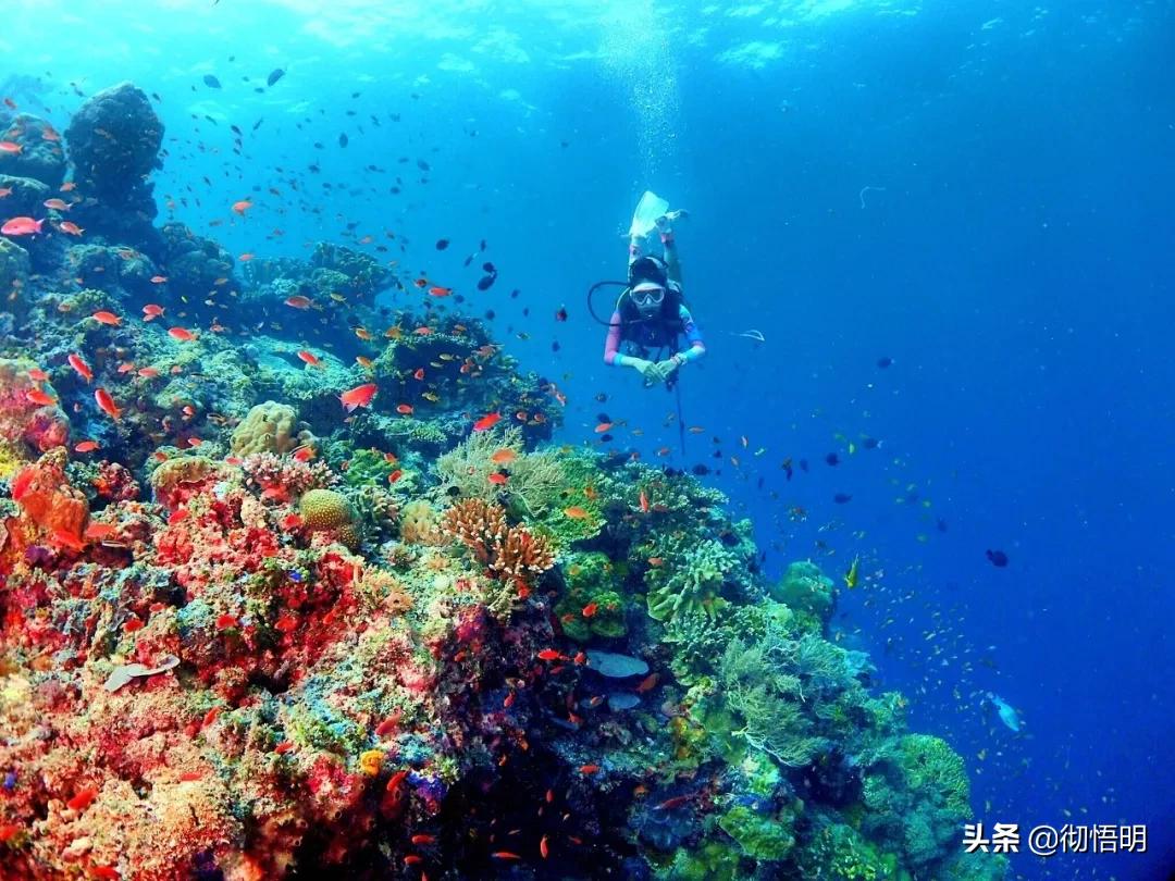 东南亚最适合旅游的地方有哪些,东南亚适合旅游的地方