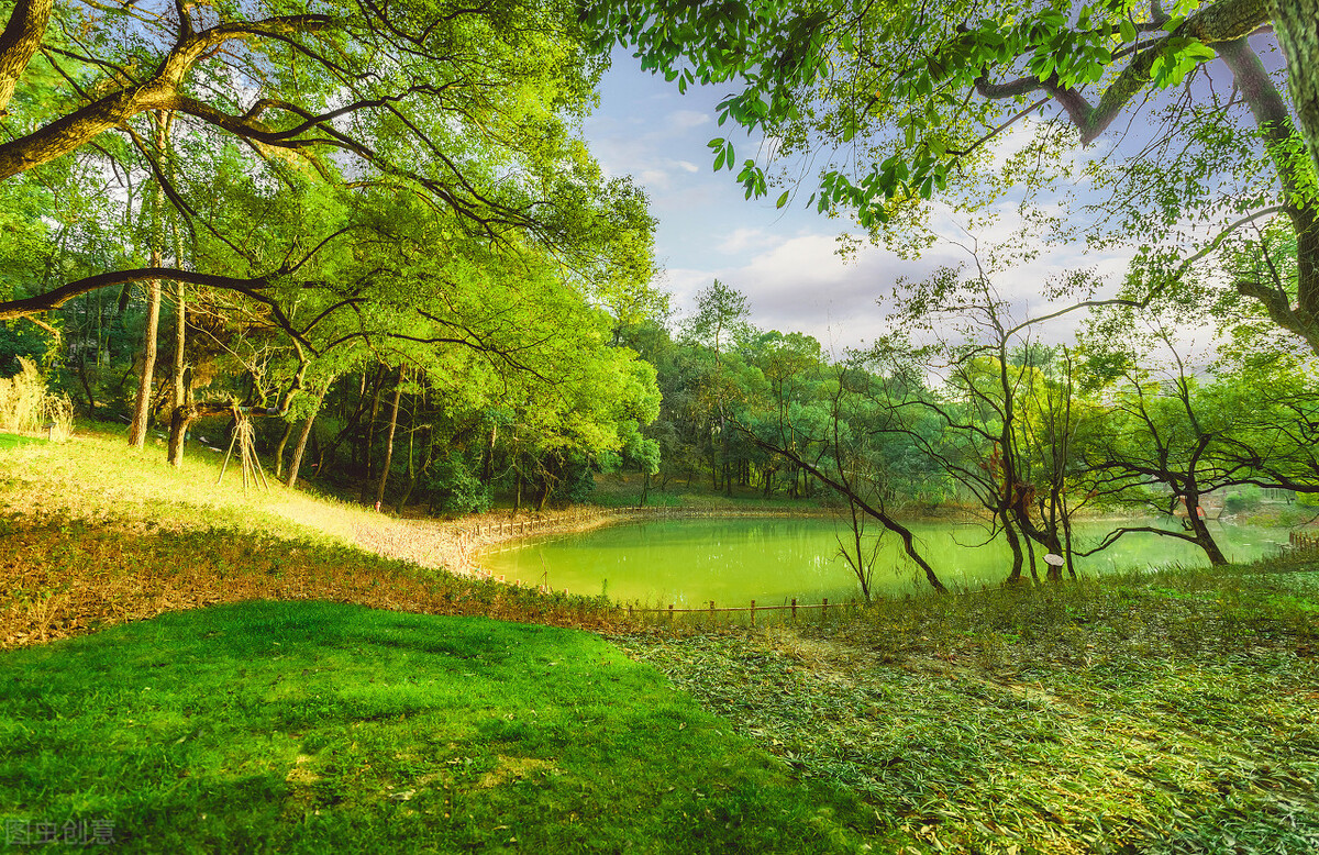 晚安故事布谷鸟,晚安故事神奇的铅笔