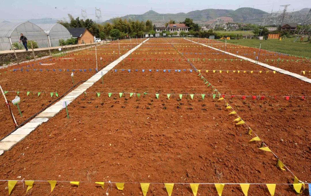 一起去瓶窑“拿块地”！古城旁，南山下，50个平方200元......