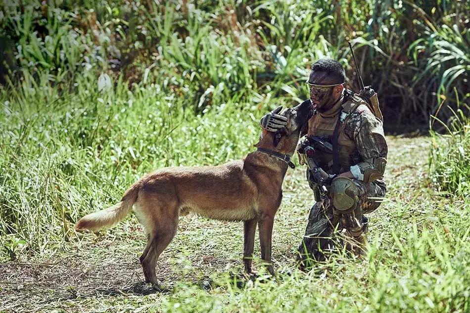 陈羽凡吸毒辟谣新闻,陈羽凡吸毒事件后现状