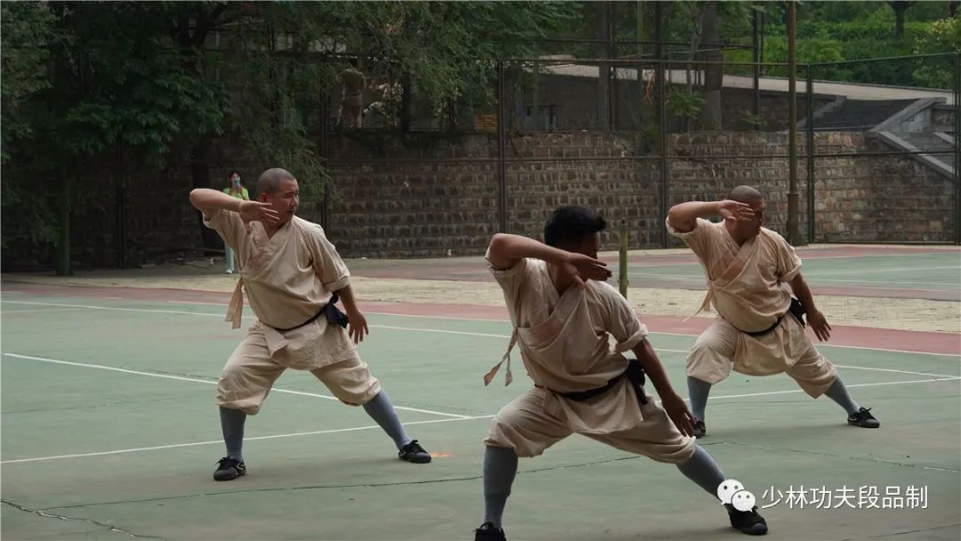 少林功夫段品制培训开启报名,少林功夫段品制初段难不难