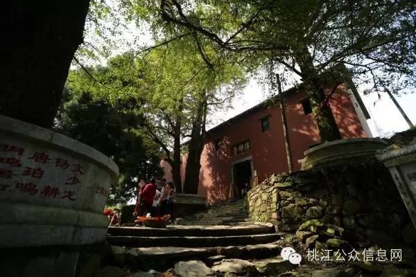 看看外国人怎样看待人生,看看外国人的中文水平