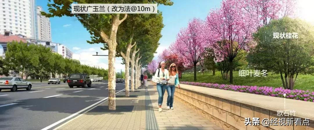 武汉最美环形公路,武汉最美大道之一高新大道