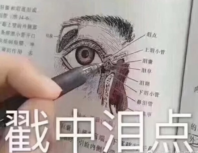 绘画||你造吗？提升画面效果有捷径！「多图预警」