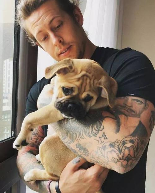 养巴哥犬的技术和喂养方法,怎么养巴哥没有体味